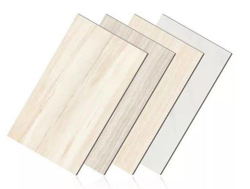 陶瓷薄板一體板 保溫板領(lǐng)域的全方位重點(diǎn)推介